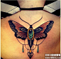 女性背部漂亮蝴蝶纹身图案图案
