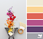 Design Seeds : Your daily dose of inspiration ... for all who love color.