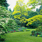 Select trees with colorful foliage or flowers to extend your garden's visual appeal up into the air. For the biggest impact, use trees that echo one of the tones in the plantings below them. l BHG: