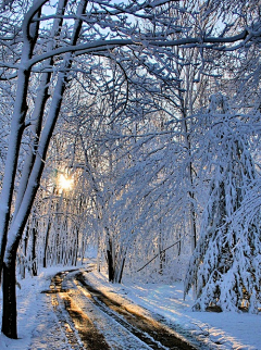 如沐春风20122012采集到雪景