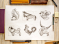 animal_logo_sketches