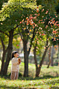 秋天,叶子,白昼,亚洲人,人_gic5491406_girl smiles under the blowing autumn leaves_创意图片_Getty Images China