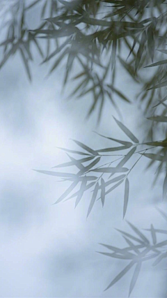 Rain_雨_采集到静