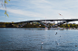 Sailing ship, river, seagull and bridge HD photo by Johan Mouchet (@johanmouchet) on Unsplash