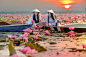 Asian girl in national costume of Vietnam sitting on the boat in by Jakkree Thampitakkul on 500px