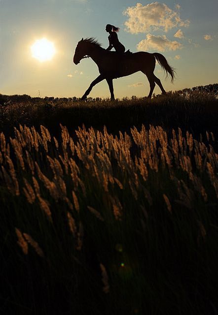 evening ride...