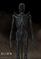 Alien Covenant, COLIN SHULVER : Protomorph Concept Art for Ridley Scott's Alien Covenant