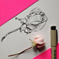 钢笔白描植物花卉_千里772图片专辑-堆糖