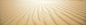 沙漠,沙,沙子,荒芜,背景,海报banner,大气图库,png图片,网,图片素材,背景素材,3723360@飞天胖虎