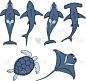 海洋生命,盔甲服,野生动物,图像,逆戟鲸,海洋,鲸,哺乳纲,大白鲨,收集