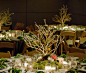 特别的装饰风格的餐桌矮桌花 - 特别的装饰风格的餐桌矮桌花婚纱照欣赏