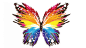 General 3840x2160 colorful butterflies artwork paint splatter white background