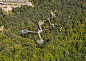 行走在纽约州北部森林的树梢间 Wild Walk is a treetop above a forest in Upstate New York | 灵感日报