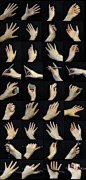 Hand References 01 by Fjalldis on deviantART