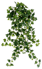 Silk Plants Direct Mini Ivy Vine Hanging Bush (Pack of 12) traditional-artificial-flowers-plants-and-trees