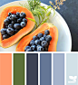 Design Seeds : Design Seeds color palettes ... posted daily for all who love color.