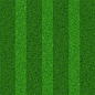 Grass Texture: 