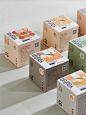 brand Packaging tea visual identity 包装设计 品牌设计 图形设计 字体设计