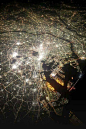 Tokyo Japan Satellite view