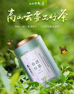 企鹅嘻嘻采集到茶