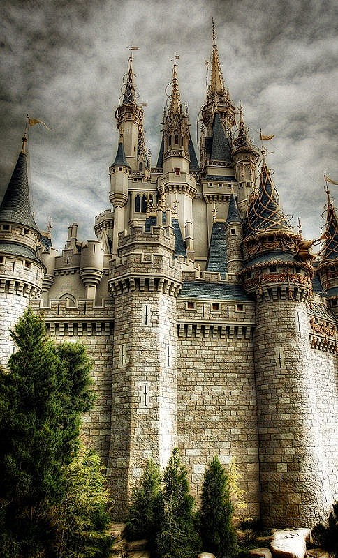 建筑 Cinderella Castle...