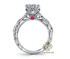 撒姐姐采集到diamond  ring、