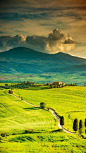 意大利 托斯卡纳，锡耶纳和阿西安的美丽风景 ​​​​