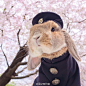 东京百变小兔「PuiPui」，时尚又有格调的垂耳兔(●'◡'●) (饲主:mumitan)