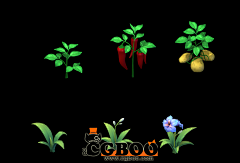 CG帮美术资源网采集到植物3D模型