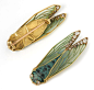 A Gold, Enamel and Gem-set Cicada Brooch:René Lalique,    1902, France