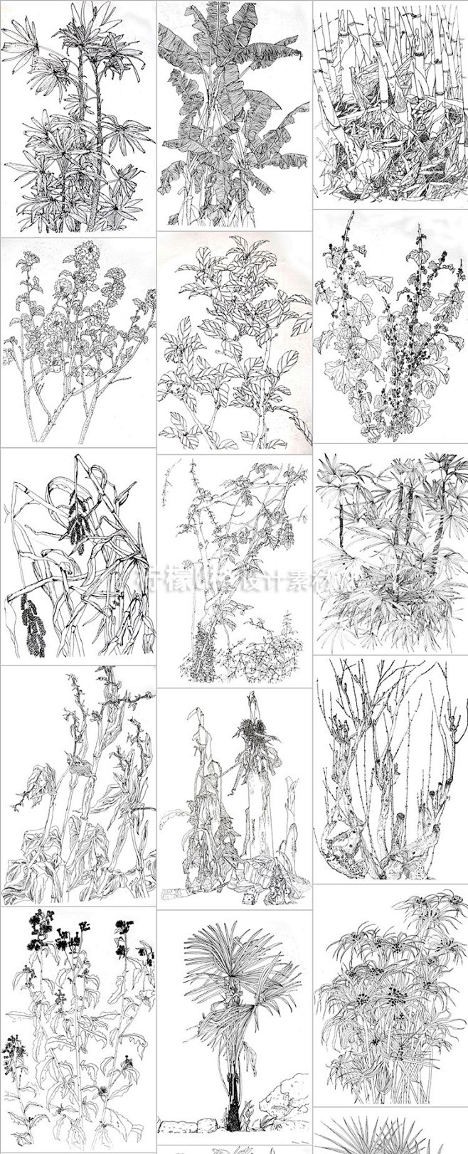 302 优秀黑白线描画风景植物建筑速写国...