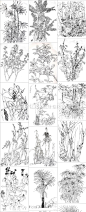 302 优秀黑白线描画风景植物建筑速写国外线描临摹学习基础素材-淘宝网