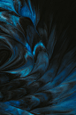 蓝色孔雀液体花纹图图片