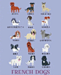 
   不同品种的狗狗插画 

      美国插画师  Lili Chin ​​​​