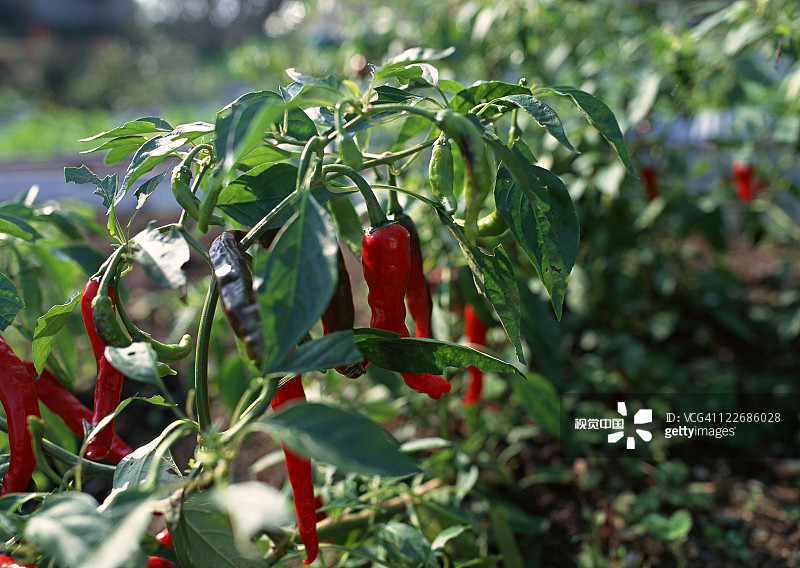 ab39a26ed7391ae2cc7e2b8e694127cb1b372a6a2c4ec-7iuWGu