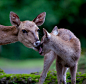 Photograph A Mother's Love by George Barker on 500px