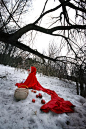 雪地里盛开的红玫瑰 超惊艳神还原小红帽