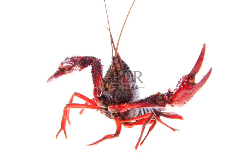 ab8d7a2ccb590dec79452495579c34dad135bf1fdbef-RhHLV2