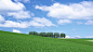 Hokkaido grass and blue sky wallpaper