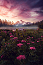 Purple Haze, Mount Shuksan, Washington