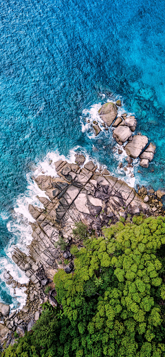 绪花酱🌸采集到景