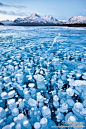 【加拿大落基山脉】冻结的气泡原来这么美！