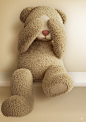 TEDDY BEAR on Behance