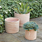 west elm terra cotta planters