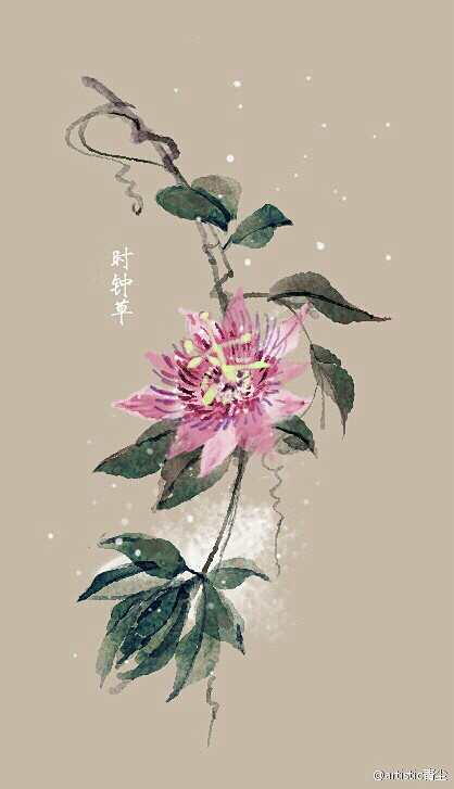 artistic青尘/绘  水彩手绘植物...