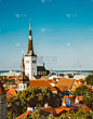 塔林,城镇,爱沙尼亚,风景,古城,地形,垂直画幅,天空,无人,东欧