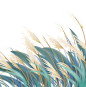 手绘水彩芦苇丛植物透明背景免抠PNG图案 装饰PS设计合成素材 (68)