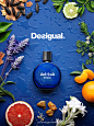 Desigual Fragances 2015 : Campaña para punto de venta de las Fragancias de Desigual_化妆品海报/摆放/膏体 _T201887 #率叶插件，让花瓣网更好用#
---------------------------------------
我在使用【率叶_花瓣的嫁衣】，一个使用花瓣网”效率更高“的浏览器插件，你也来吧！
> http://jiuxihuan.net/lvye/?yqr=10917130