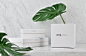 amp. Skincare Technology on Behance