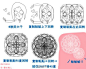 简单易懂画蕾丝的方法